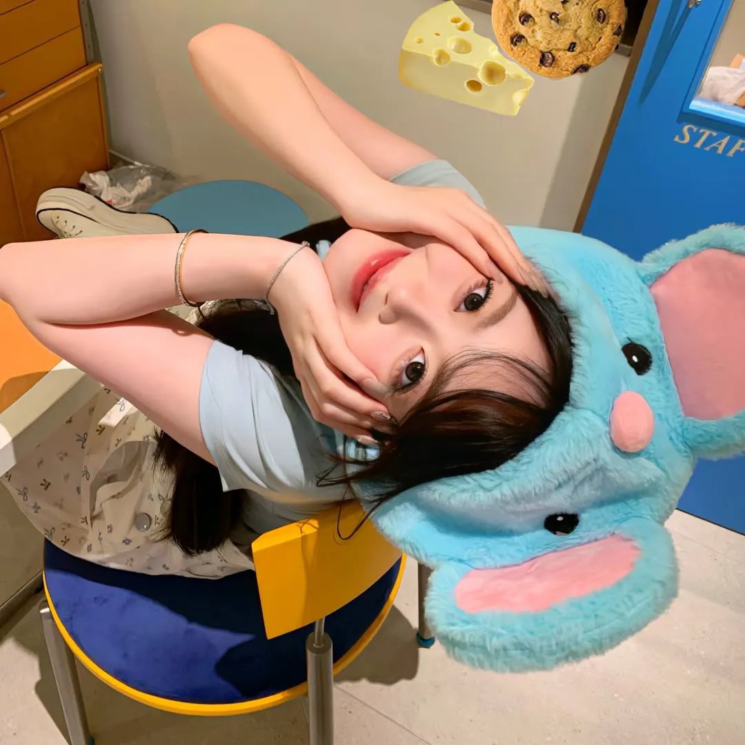 冒牌总统